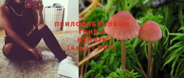 МДМА Богданович