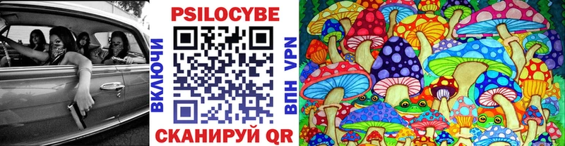 Галлюциногенные грибы Psilocybine cubensis  kraken маркетплейс  Пенза  цены наркотик 
