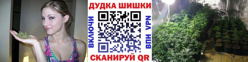 кракен маркетплейс  Пенза  МАРИХУАНА VHQ 
